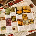 seed-catalogs