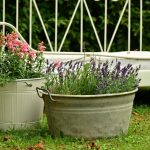 Toxins in Plant Containers